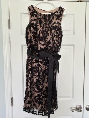 Adriana Pappell: Black Floral Lace Overlay Dress with Black Sash